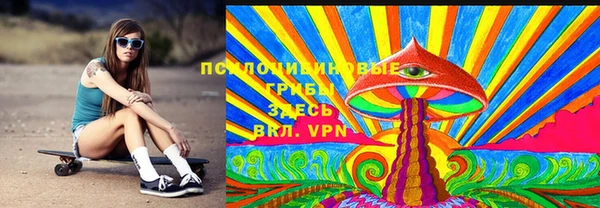 MESCALINE Аркадак
