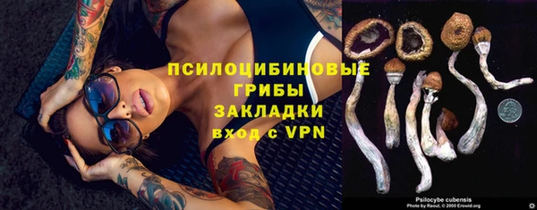 прущая мука Арсеньев
