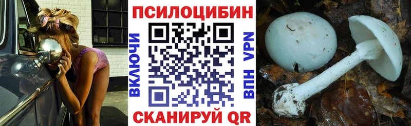 Купить закладки Карабулак Псилоцибиновые грибы мухоморы