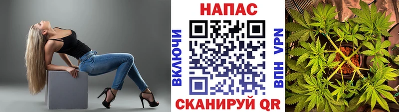 Марихуана план Купить закладки Карабулак